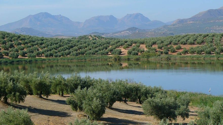 Olivares de Jaén.