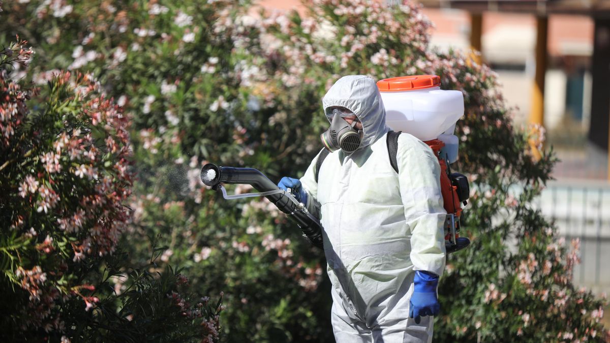 Andalucía suma 29 casos de virus del Nilo al detectar tres nuevos en la provincia de Sevilla