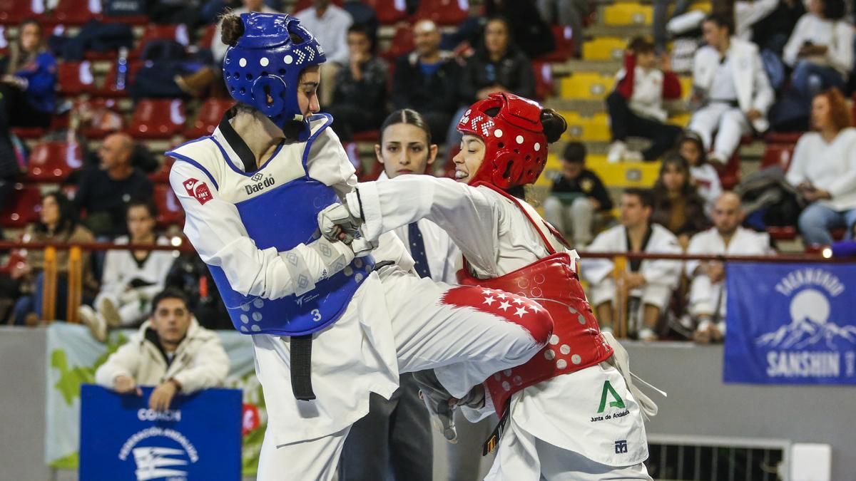 Open internacional de Andalucía de Taekwondo y Copa Iberdrola