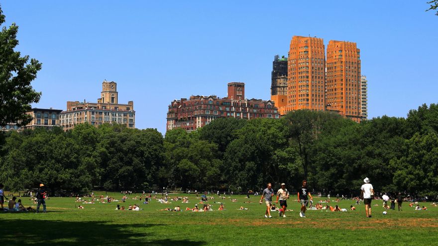 Así fue cómo el amor por Shakespeare llenó de pájaros el Central Park de Nueva York e introdujo una de sus especies invasoras