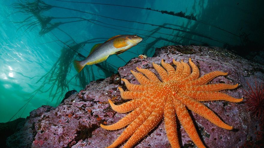 Albacete descubre "el significado del color en el mundo" en una exposición de fotografías de National Geographic