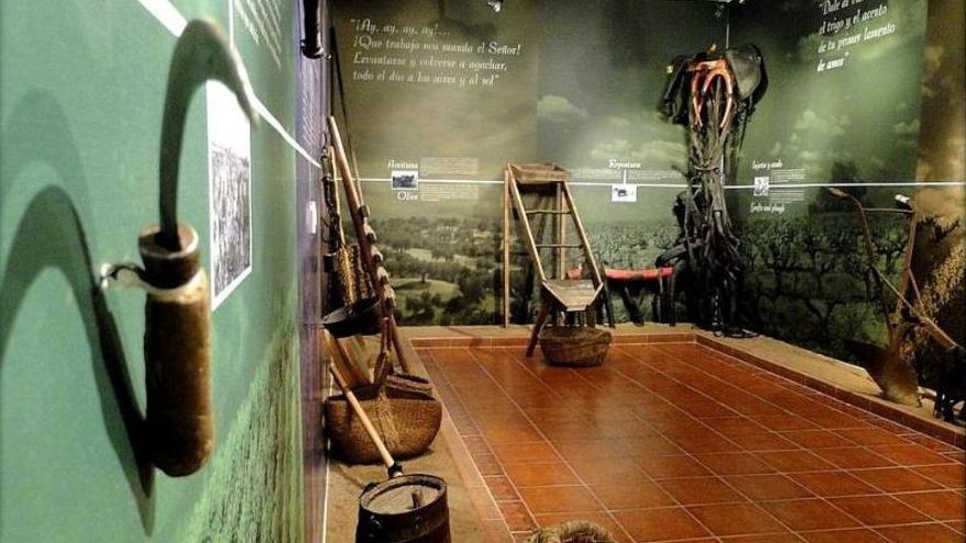 Museo en La Solana (Ciudad Real)