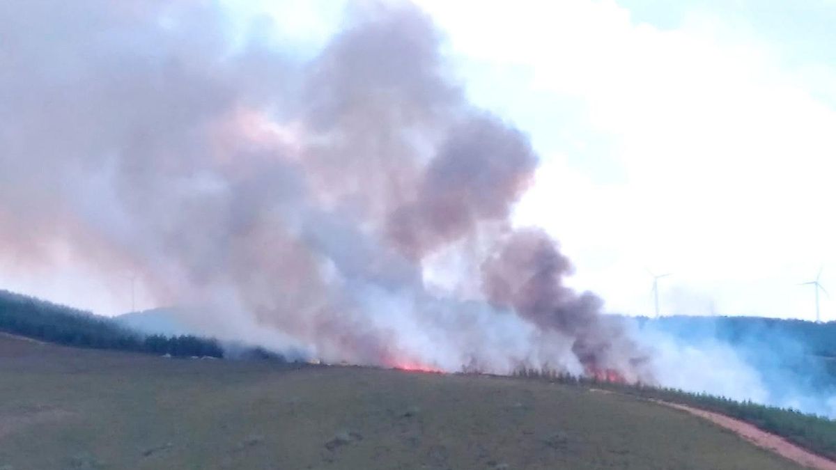 Imagen de un incendio forestal en la provincia de León, archivo.