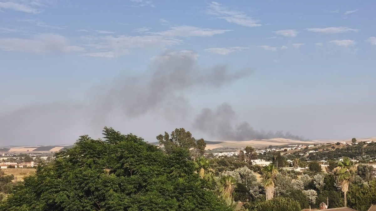 Humo del incendio declarado en la campiña cordobesa.