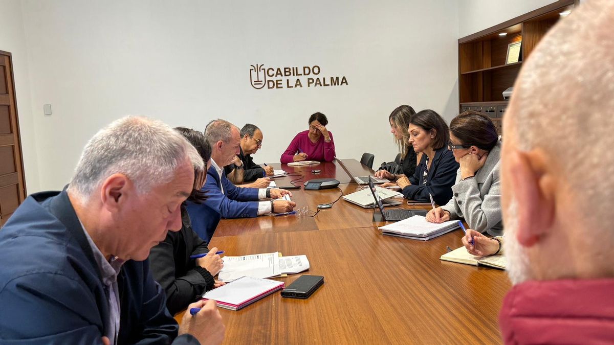 El Cabildo prepara las bases para atender a las empresas y colectivos que sufran afecciones por la crisis de Oriente Medio