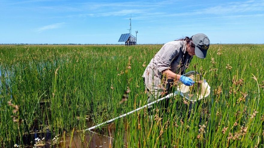 ICTS Doñana, un laboratorio vivo a disposición de la comunidad científica
