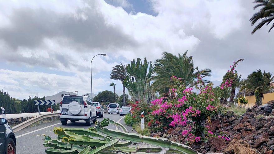 Caída de un cardón en la GC-1