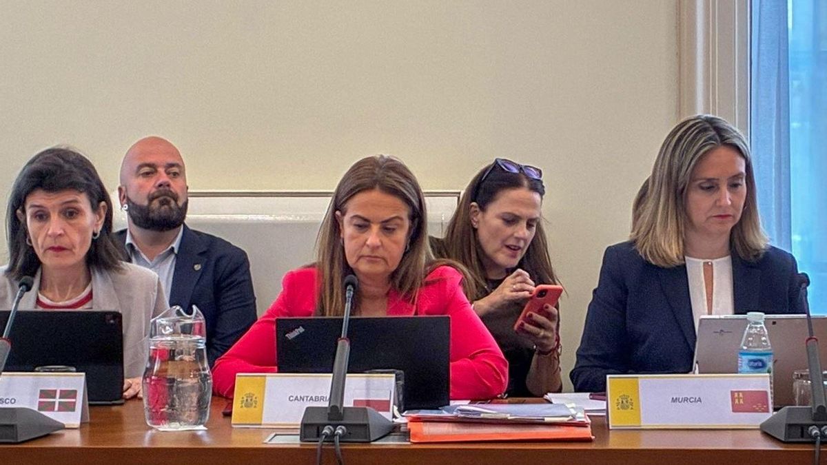 La consejera de Inclusión Social, Begoña Gömez del Río, en la sectorial