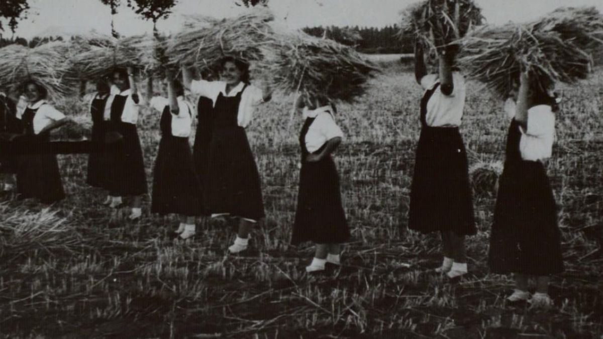 Falangistas de la Hermandad de la Ciudad y del Campo de Castilla en las labores de recolección triguera.