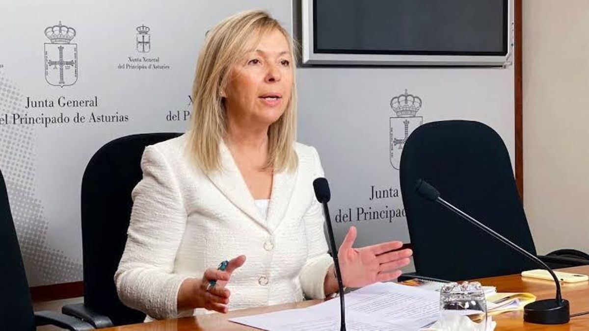 La portavoz municipal de Vox en Gijón/Xixón, Sara Álvarez Rouco.