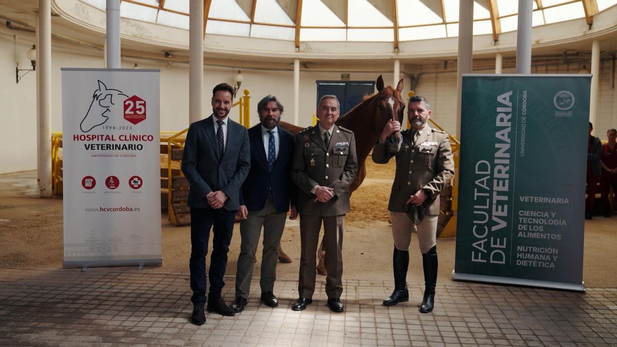 Sangre noble, ciencia y tradición ecuestre: la Parada de Sementales vuelve a la Universidad de Córdoba