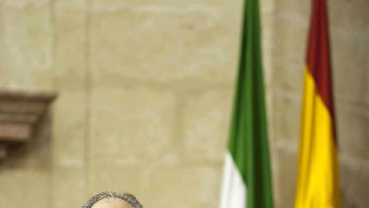 Durán recibirá este lunes a PSOE-A y PP-A y el martes a Podemos, Ciudadanos e IULV-CA para la ronda de consultas