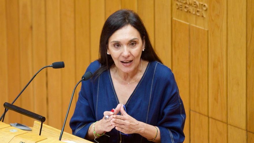 La diputada socialista Carmen Rodríguez Dacosta