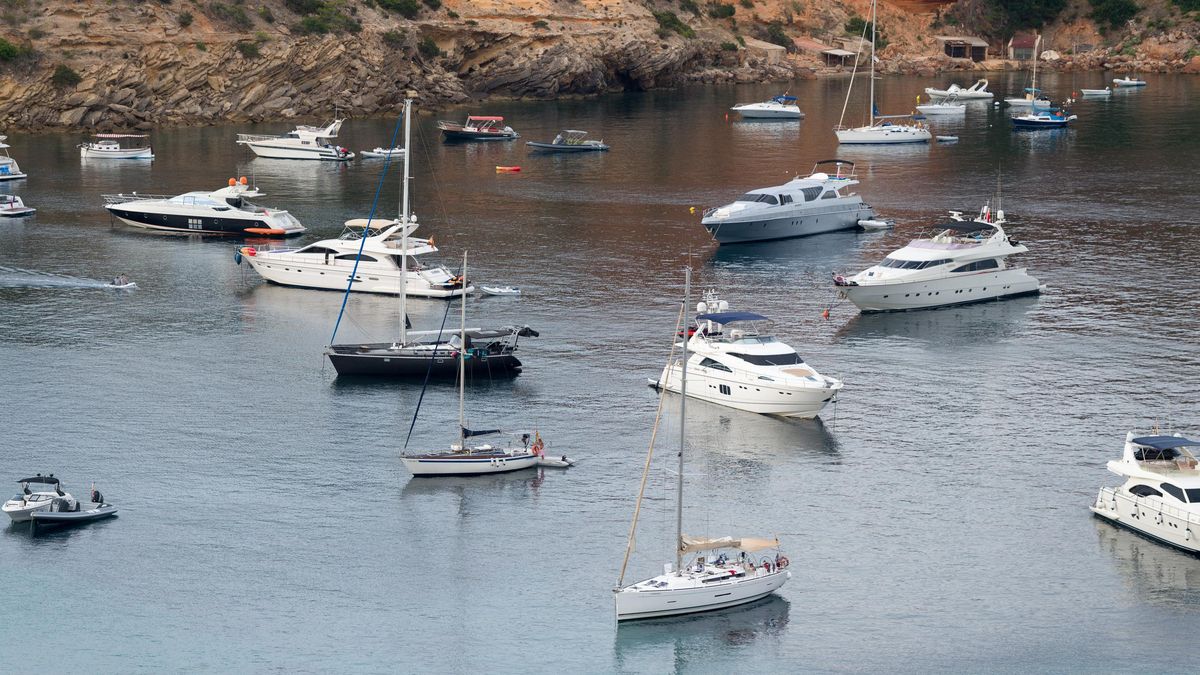 Una fundació denuncia que només el 0,37% dels vaixells que fondegen sobre posidònia són multats a Eivissa i Formentera