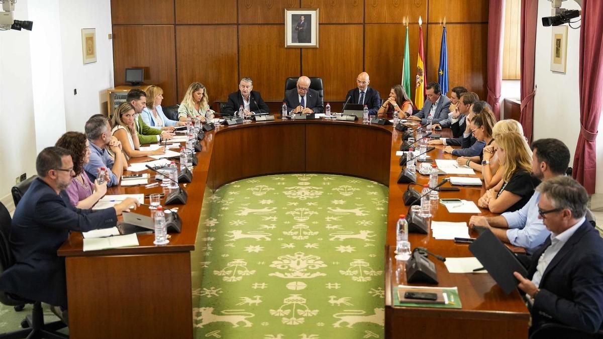 El Parlamento rechaza con los votos del PP convocar un Pleno sobre el incendio de la Mezquita