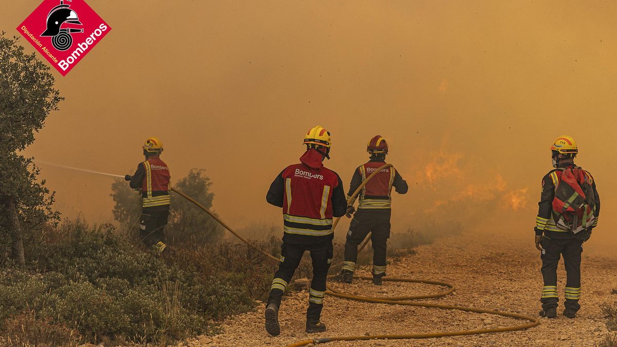 Los bomberos del Consorcio de Alicante trabajan en el incendio forestal de Ibi.