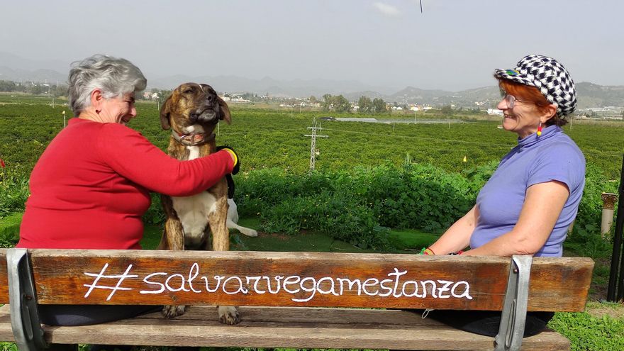 María Díaz Mestanza y Mari Carmen Mestanza, junto a su perro Rambo, en el mirador a la vega