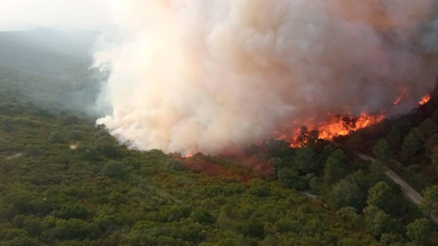 El incendio de Monfragüe afectó a 400 hectáreas del Parque Nacional y a 21 nidos de buitres negros