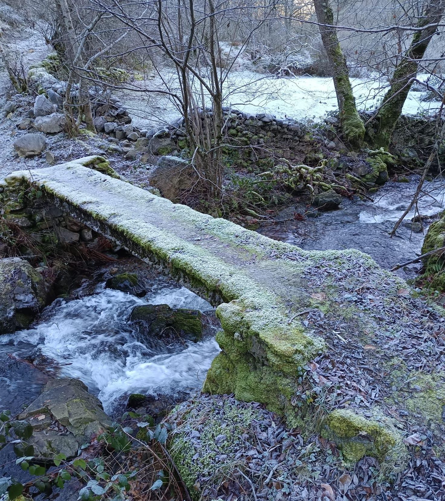 Paisajes de hielo en Ezcaray