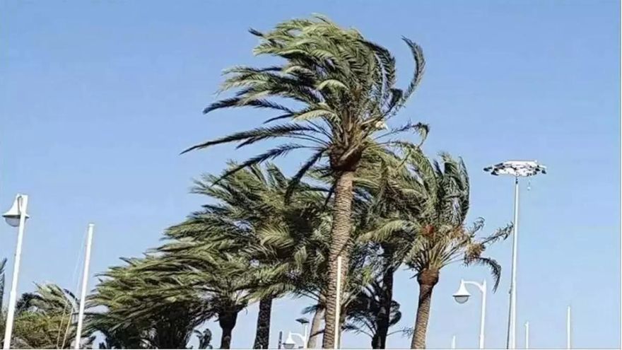 Several municipalities in the Canary Islands, on pre-alert for strong gusts of wind starting this Friday