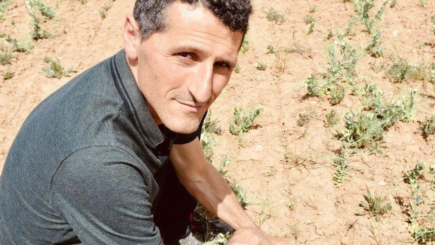 La sequía muestra a los agricultores el impacto del cambio climático: “No puedo arriesgarme a sembrar maíz y no regarlo”