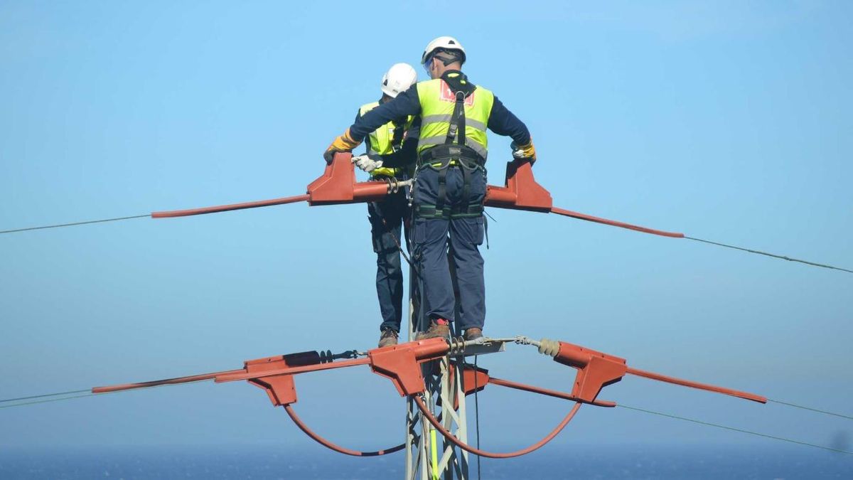 Endesa aumenta las medidas para proteger a la avifauna de Canarias instalando nuevos apoyos