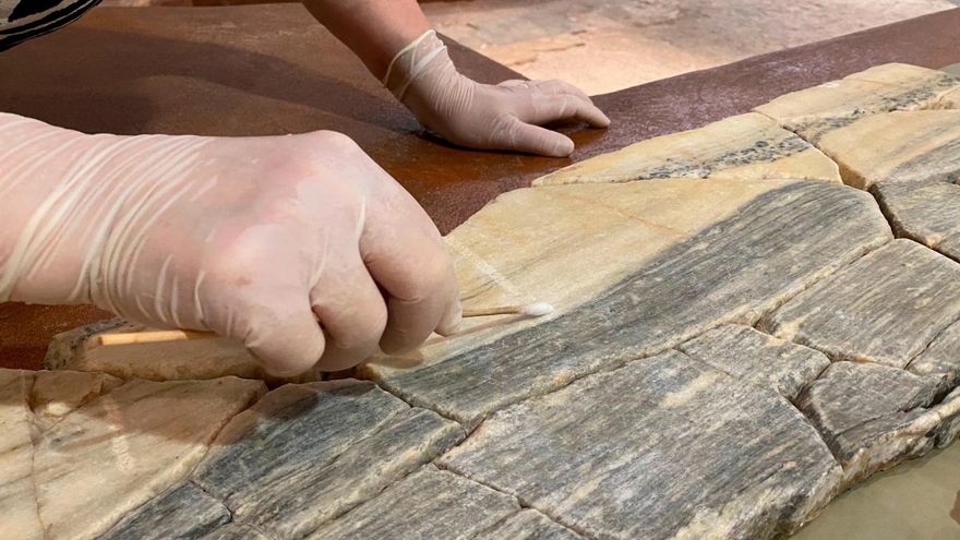 Comienzan los trabajos para controlar el estado de las 601 piezas de los museos de la Ruta de Caesaraugusta de Zaragoza