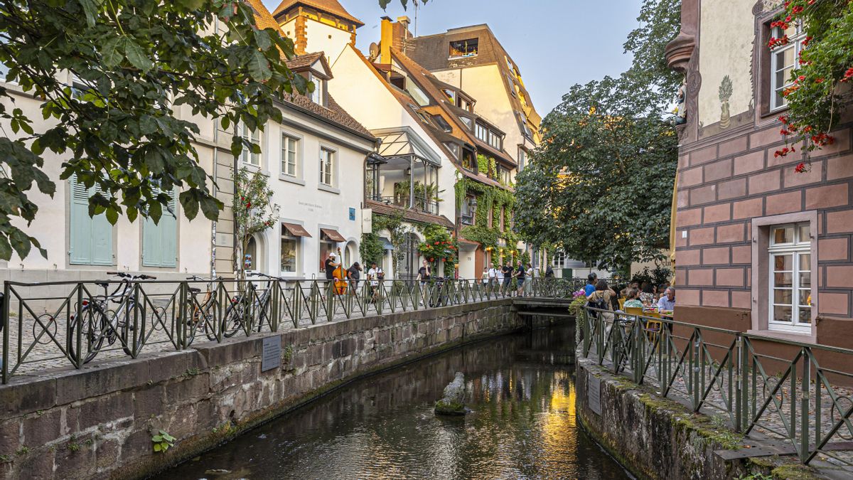 Freiburger FWTM, Freiburg Motive