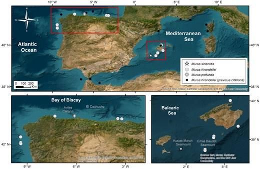 Zonas de España donde se encontraron esponjas