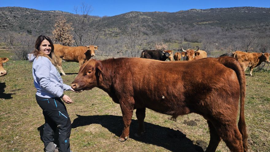 De plaza de Castilla a criar vacas en la sierra de Guadalajara: cómo emprender en la España rural