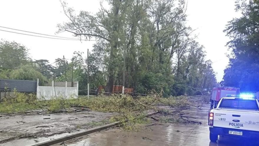 Una mujer murió en Moreno tras ser golpeada por la rama de un árbol que se cayó
