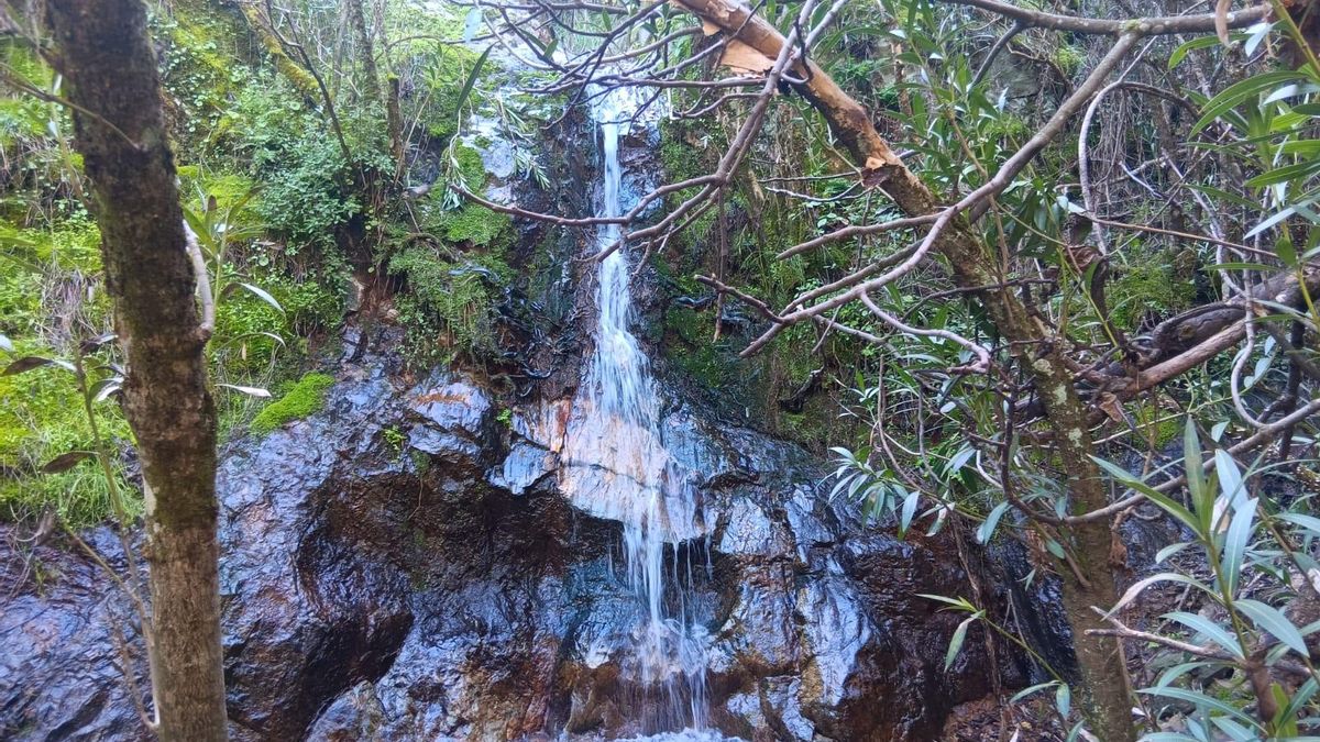 Cascada en arroyo de las Gachas Negras.
