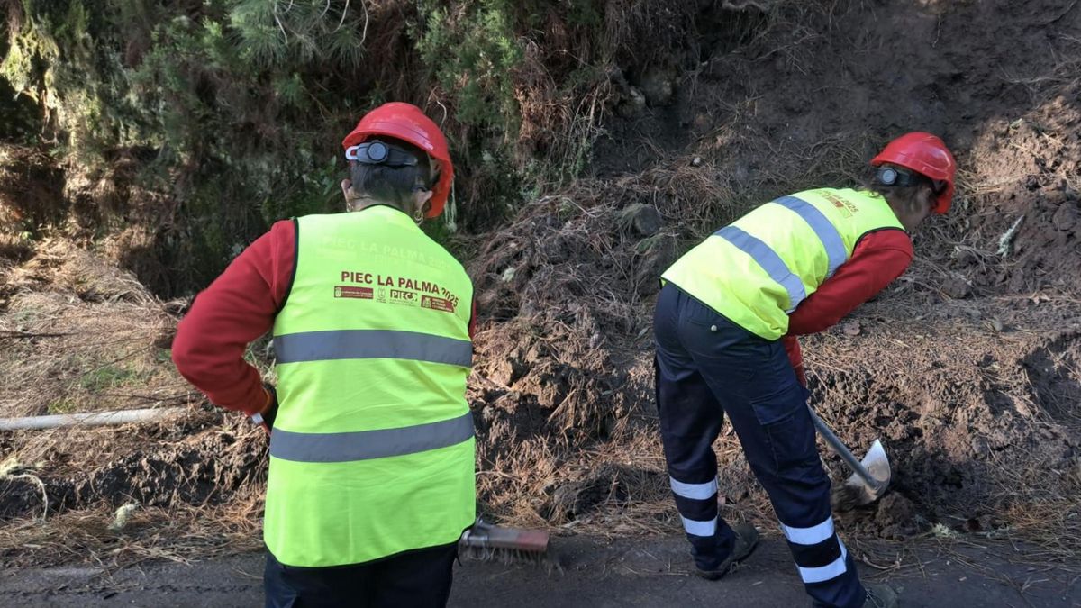 Plan Integral de Empleo de La Palma (imagen de archivo).