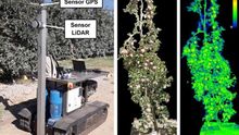 a) Plataforma automotriz desarrollada por el Grupo de Investigación en AgróTICa y Agricultura de Precisión para escanear plantaciones agrícolas con sensores 3D. b) Modelo 3D de un manzano escaneado con fotogrametría. c) Modelo 3D del manzano anterior escaneado con un sensor LiDAR.
