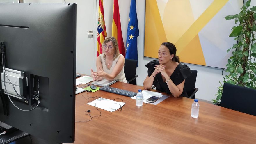 Aragón ha participado vía videoconferencia en la Conferencia Sectorial de la Inmigración este lunes.