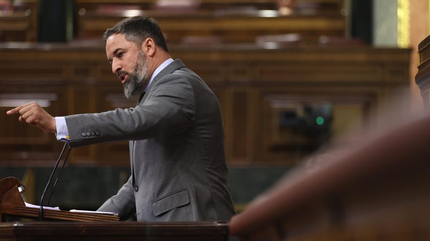 El líder de Vox, Santiago Abascal.