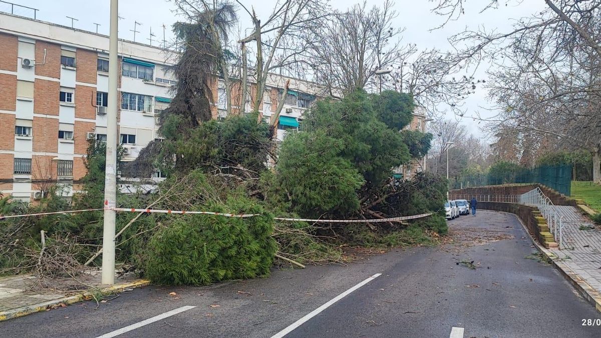 Corte de tráfico en la avenida Menéndez Pidal