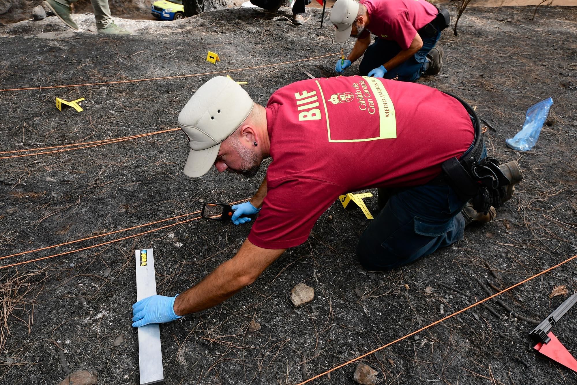 Agentes de Medio Ambiente del Cabildo de Gran Canaria que conforman el equipo de investigación del incendio de Valleseco