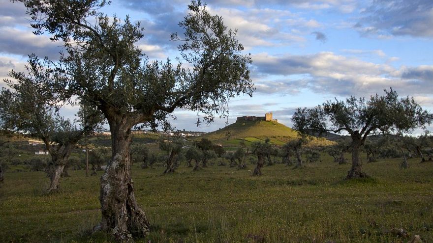 Castillo de Montemolín 