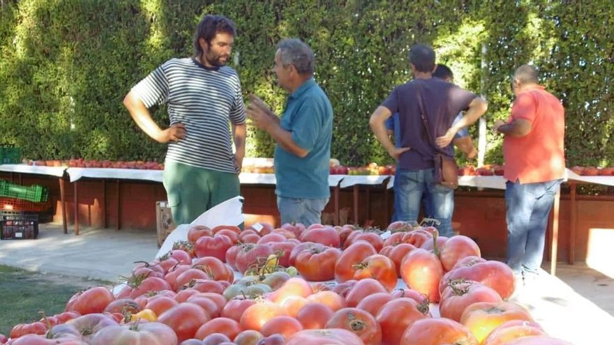 Al fondo, a la izquierda, Eduardo Perote durante la última Feria del Tomate de Piñel de Abajo.