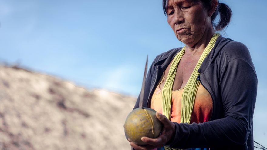 Mavaki Suyá del pueblo Khikatxi de la Amazonía, que ya se trasladaron varias veces ante el avance de los cultivos de la soja.