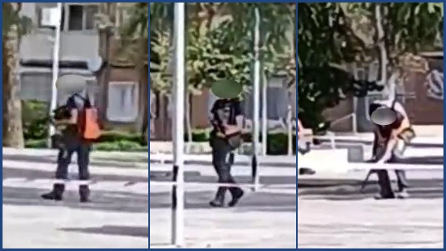 Matar cotorras a tiros: Alcalá de Henares recupera la práctica que eliminó Almeida para controlar a estas ruidosas aves