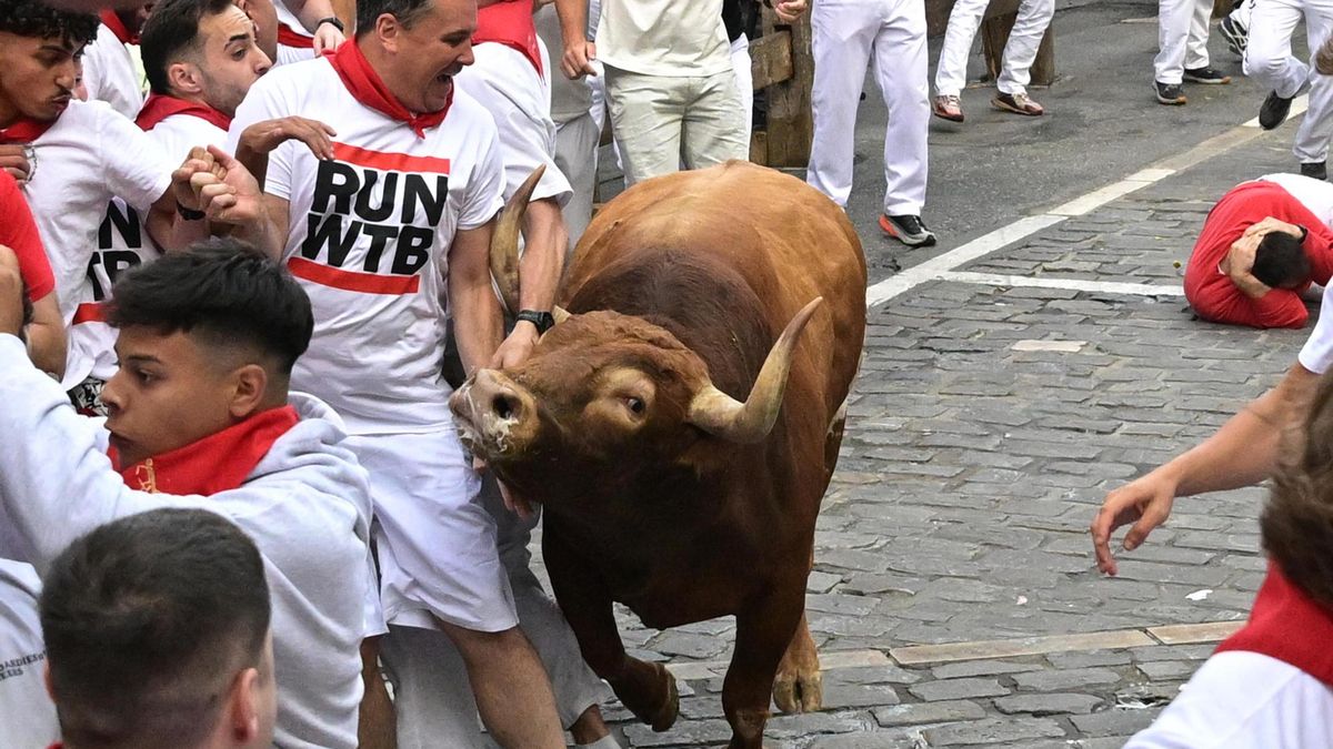 Cinco heridos por contusiones en el quinto encierro de San Fermín, ninguno por asta de toro