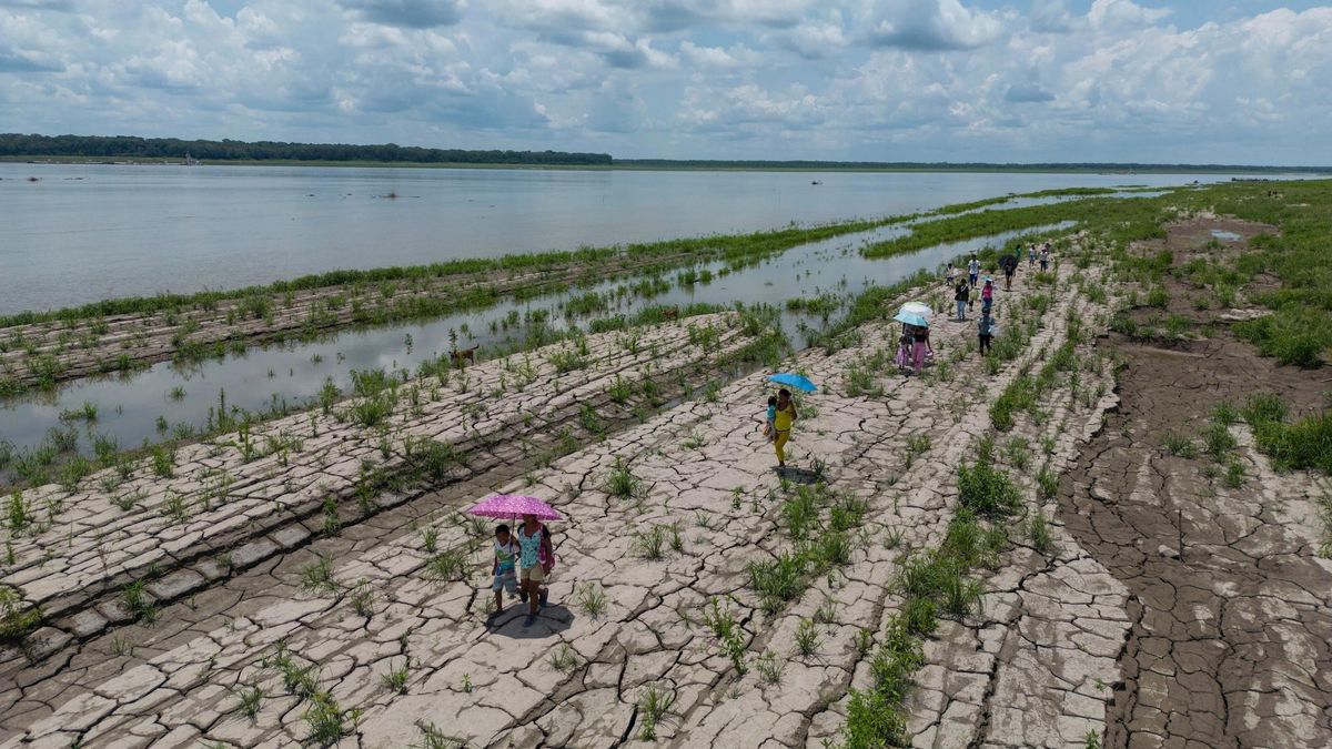 Día Mundial de Acción contra la Desertificación y la Sequía: una crisis silenciosa avanza desde Centroamérica hasta la Amazonía y el Chaco sudamericano