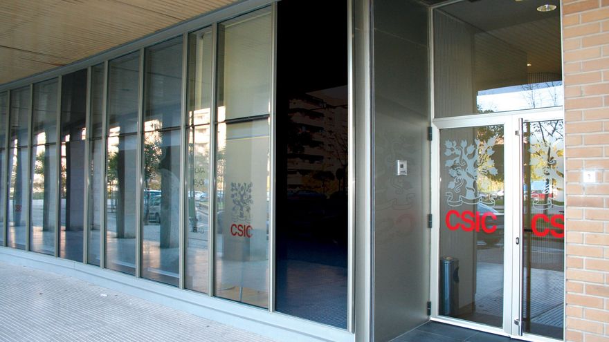 Las científicas del CSIC en Aragón se sitúan entre las más influyentes en sus campos de investigación