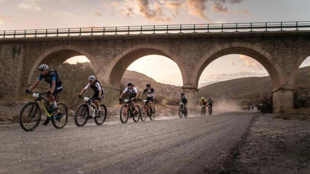 Participantes de la edición de 2022