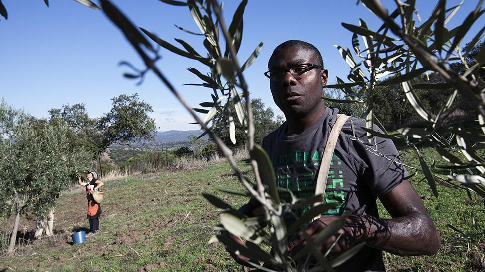 'Wwoofers', voluntarios rurales de agricultura ecológica.
