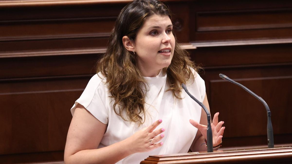 Diana Lorenzo, diputada de CC por la Isla en el Parlamento de Canarias.