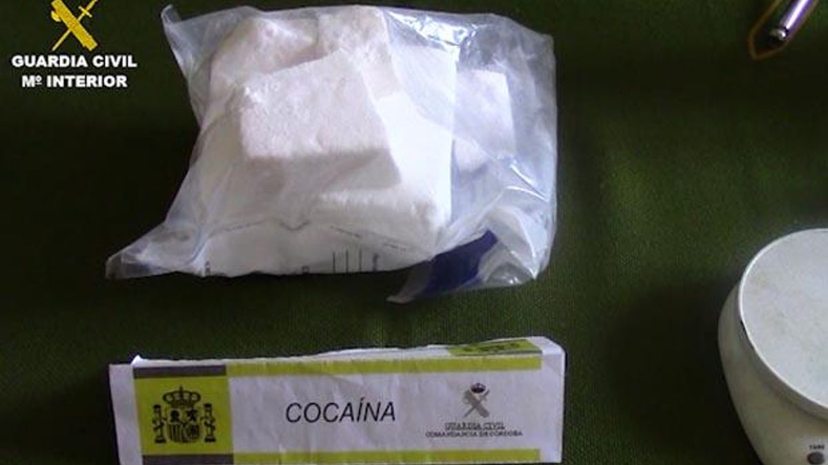Cocaína interceptada, en una imagen de archivo.