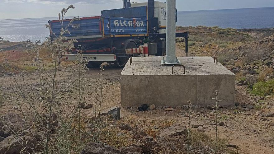 Ejemplares de viborina triste en la zona donde se está colocando un poste en los terrenos de Cuna del Alma